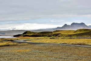 From Reykjavik: Iceland's South Coast Day Tour by Minibus