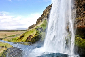 From Reykjavik: Iceland's South Coast Day Tour by Minibus