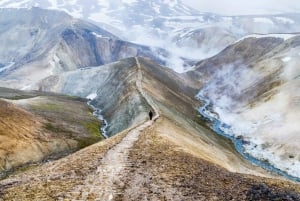 Da Reykjavik: Escursione di un giorno a Kerlingarfjöll