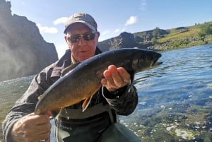 From Reykjavik: Lake and River Fishing Tour