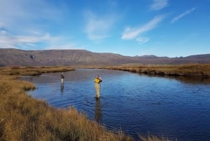 De Reykjavik: Excursão de pesca no lago e no rio