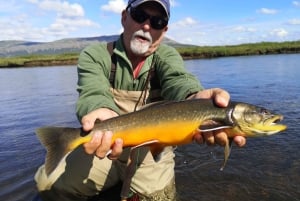 De Reykjavik: Excursão de pesca no lago e no rio