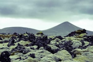 Reykjavik et le port : le Cercle d'Or et le cratère Kerid