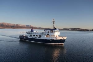 Vanuit Reykjavik: nieuwjaarsvuurwerk per boot