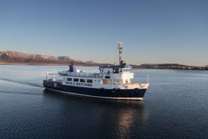 From Reykjavik: New Years Fireworks by Boat