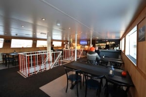 From Reykjavik: New Years Fireworks by Boat