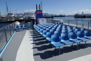 From Reykjavik: New Years Fireworks by Boat