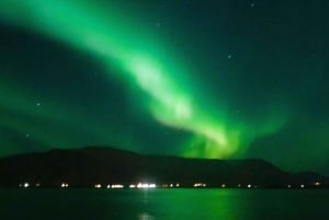 レイキャビク発：オーロラボートクルーズ