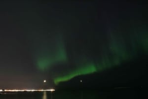 レイキャビク発：オーロラボートクルーズ