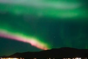 レイキャビク発：オーロラボートクルーズ