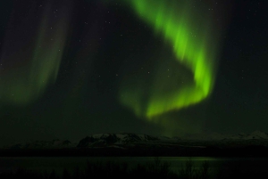 De Reykjavik: excursão de autocarro às luzes do norte com chocolate quente