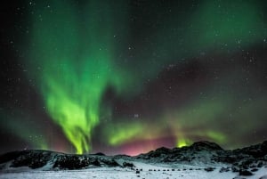 From Reykjavík: Northern Lights Chase with Hot Chocolate