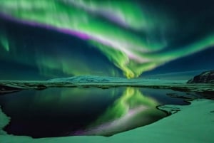 From Reykjavik: Northern Lights Experience Private Trip