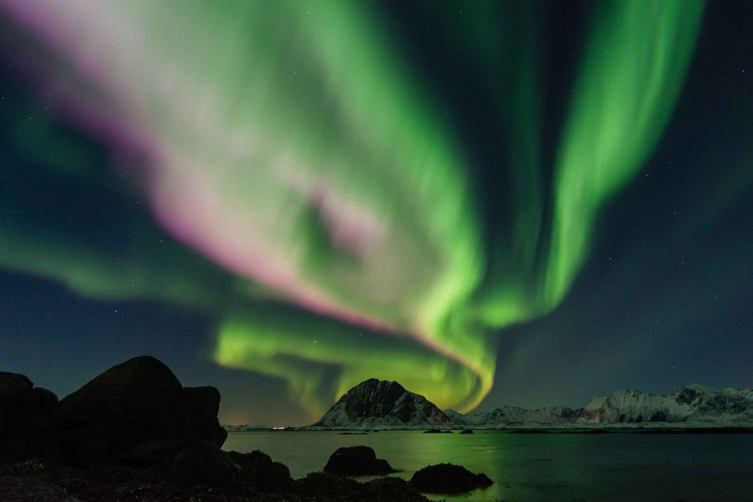 From Reykjavik: Northern Lights Sightseeing Cruise