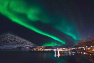 Au départ de Reykjavik : Croisière touristique sur les aurores boréales