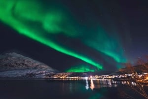 Från Reykjavik: Nordljuskryssning