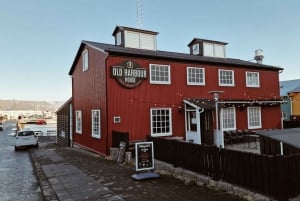Från Reykjavik: Nordljuskryssning