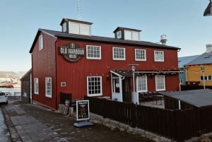 Au départ de Reykjavik : Croisière touristique sur les aurores boréales