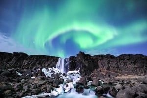 From Reykjavik: Northern Lights Tour