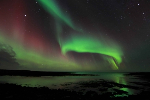 De Reykjavik: tour da aurora boreal