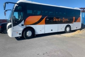 Do porto de Reykjavik: Traslado privativo para a Lagoa Azul