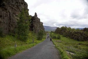 From Reykjavik: Private Golden Circle and Fridheimar Tour