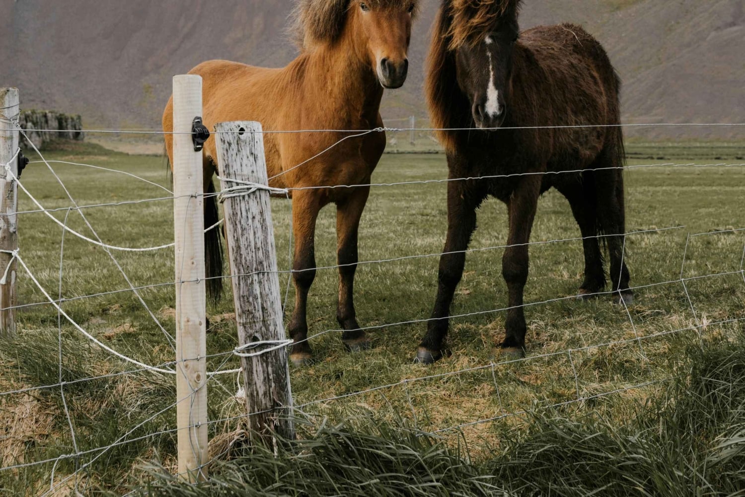 De Reykjavik: Excursão particular ao Círculo Dourado e à Costa Sul