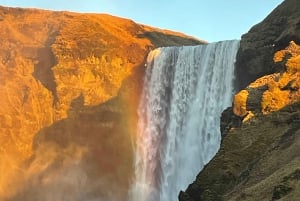 Reykjavikista: Reykjavik: Yksityinen Golden Circle ja etelärannikon kiertoajelu