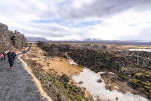 Reykjavikista: Reykjavik: Yksityinen Golden Circle ja etelärannikon kiertoajelu