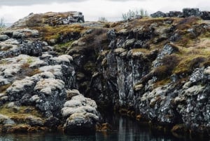 Reykjavikista: Reykjavik: Yksityinen Golden Circle ja etelärannikon kiertoajelu