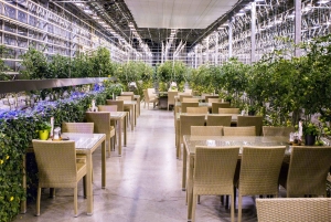 Von Reykjavik aus: Private Golden Circle Iceland Day Tour