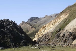 From Reykjavik: Private Landmannalaugar Day Trip