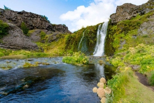 Из Рейкьявика: частный тур на супер-джипе 4x4 в Ландманналяугар