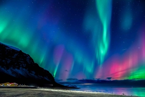 From Reykjavik: Private Northern Lights Tour