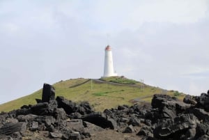 Fra Reykjavik: Privat Reykjanes-halvøen og Blå Lagune