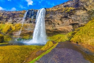 Från Reykjavik: Privat sydkust och Katla isgrotta