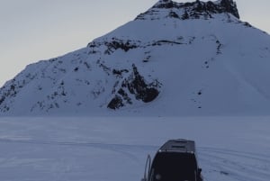 Da Reykjavik: Costa sud privata e grotta di ghiaccio Katla