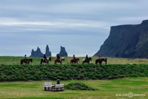 Reykjavik: South Coast, Waterfalls, Black Beach Private Tour