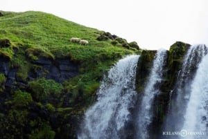 Reykjavik: South Coast, Waterfalls, Black Beach Private Tour