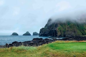 Z Reykjaviku: Wycieczka z maskonurami i wulkanem na Wyspy Westmana