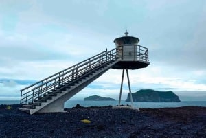 Da Reykjavik: Tour delle pulcinelle di mare e dei vulcani nelle isole Westman