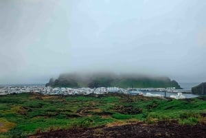 Fra Reykjavik: Søpapegøje- og vulkantur på Vestmannaøerne
