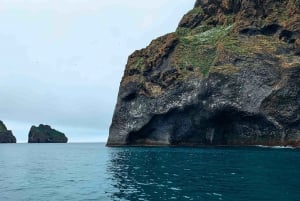 Från Reykjavik: Lunnefågel- och vulkantur på Västmannaöarna