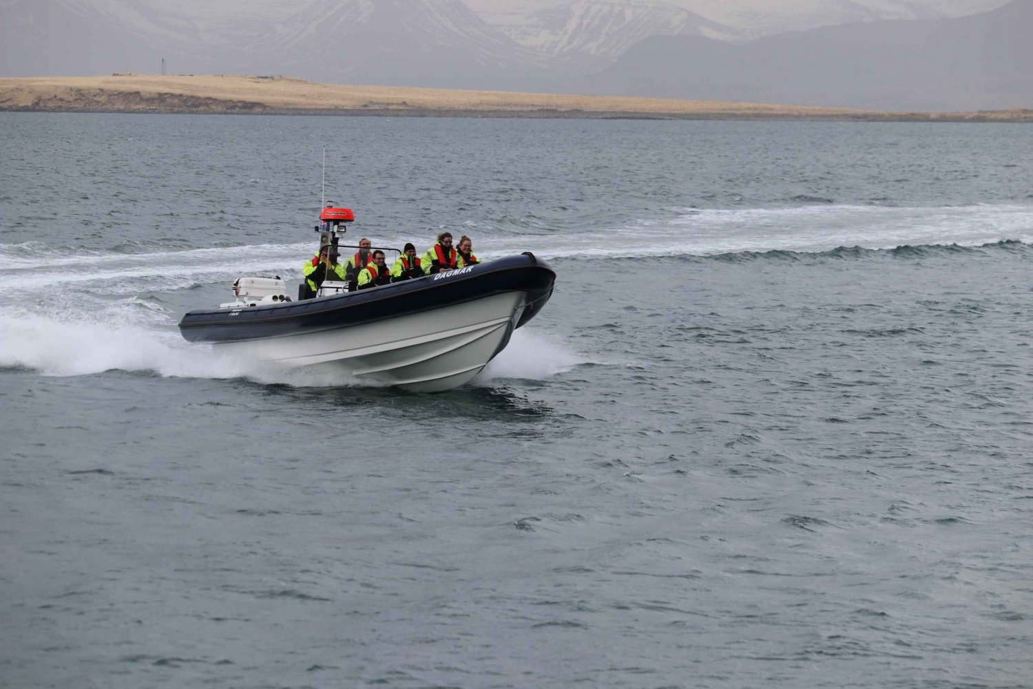 From Reykjavík: Puffin Watching Tour by Speedboat
