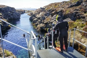 Fra Reykjavik: Silfra Fissure Snorkeling Halvdagstur