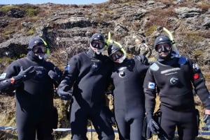 Fra Reykjavik: Halvdagstur med snorkling i Silfra-fissuren