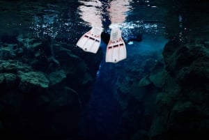 Fra Reykjavik: Silfra Fissure Snorkeling Halvdagstur