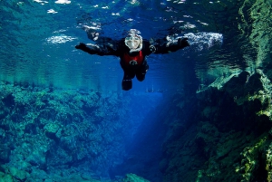 From Reykjavik: Silfra Snorkeling Between Tectonic Plates