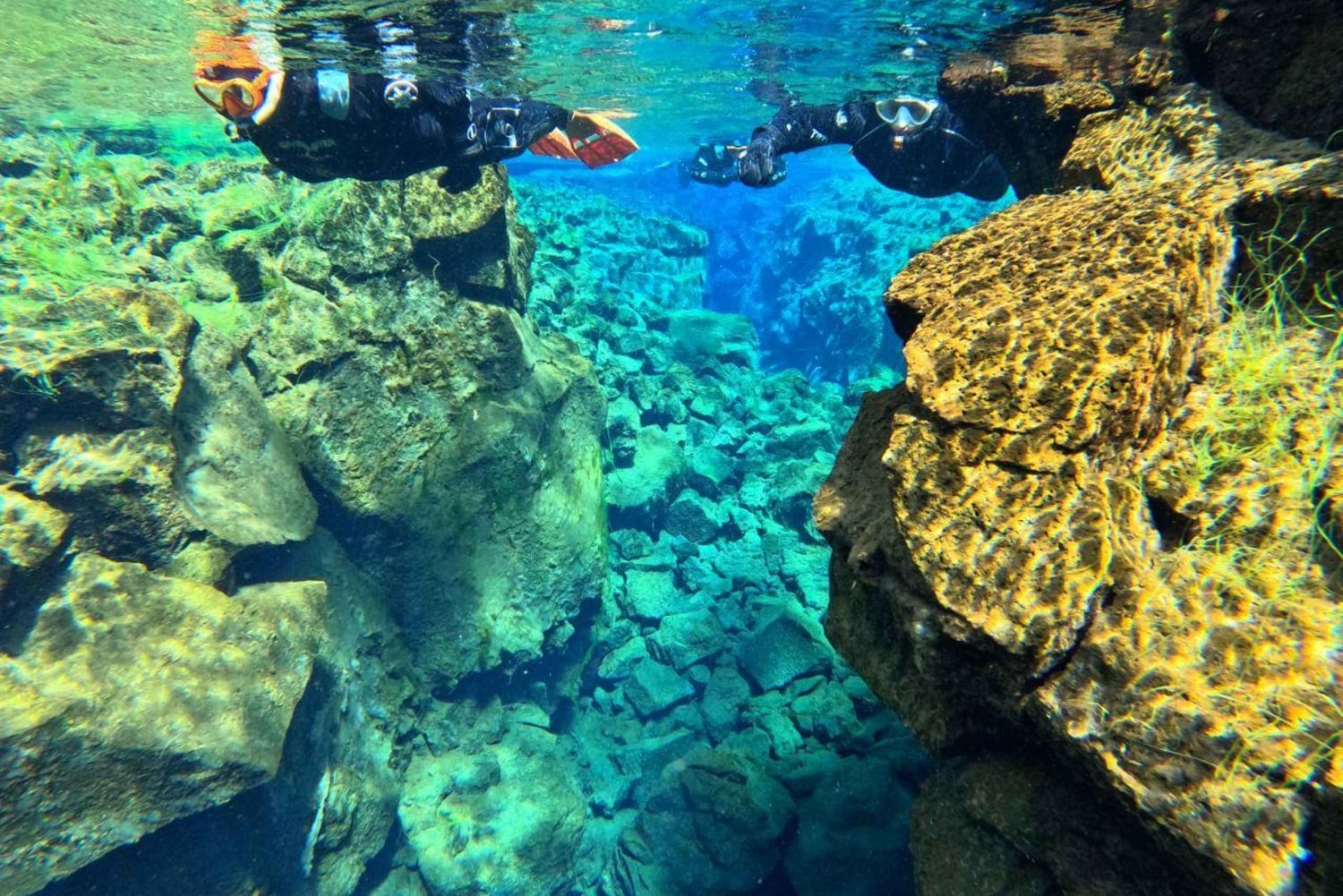 Z Reykjaviku: Snorkeling w Silfrze z darmowymi zdjęciami