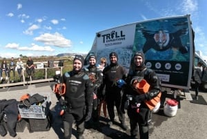 Fra Reykjavík: Snorkling i Silfra med gratis bilder